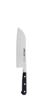 Santoku Lyon 